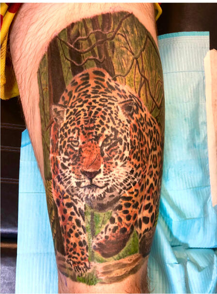 Jaguar